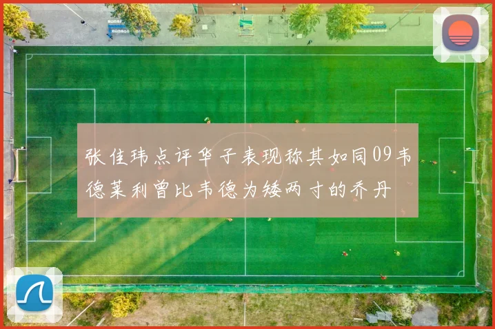 张佳玮点评华子表现称其如同09韦德莱利曾比韦德为矮两寸的乔丹